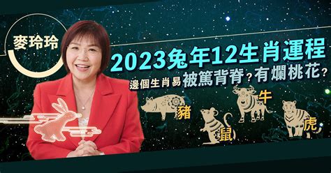 2023麥玲玲|【2023兔年運程】麥玲玲2023年兔年九宮飛星圖：財位在正南。